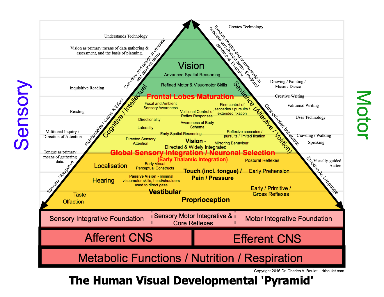 developmental pyramid